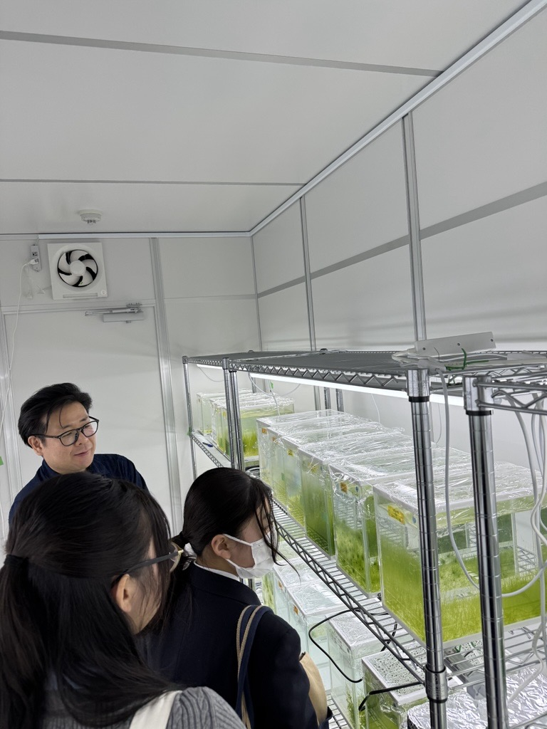 Image - 2026-03-30T112352.770